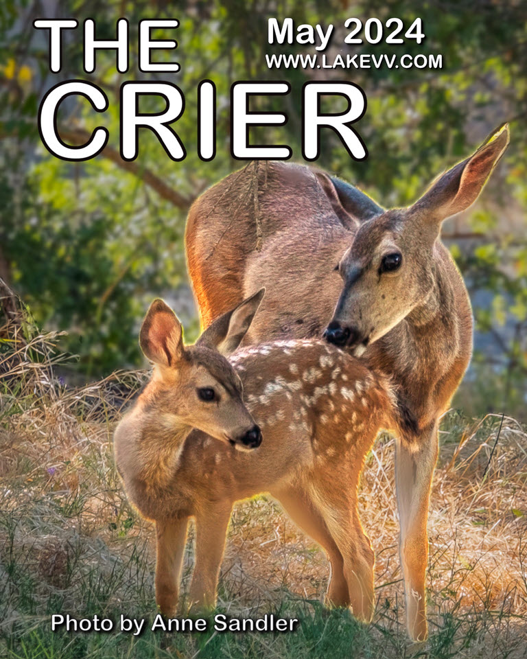 Photographer Anne Sandler