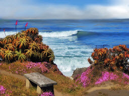 Bench Pacific Grove, CA