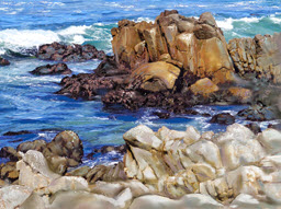Pacific Grove, CA