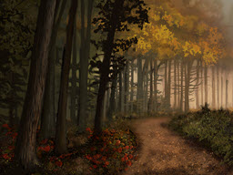 Golden Hour in the Forest