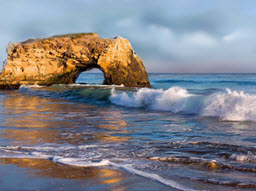 Natural Bridges, Santa Cruz, CA
